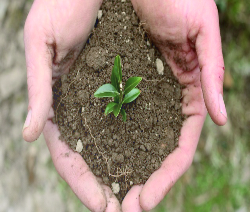 Media.Category.ImageAlternateTextFormat