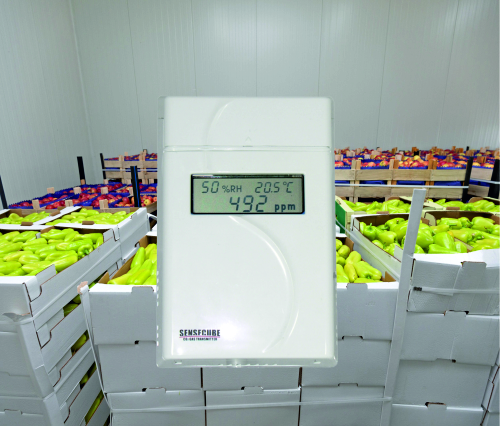 Media.Category.ImageAlternateTextFormat