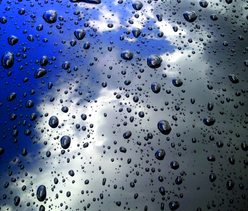 Media.Category.ImageAlternateTextFormat