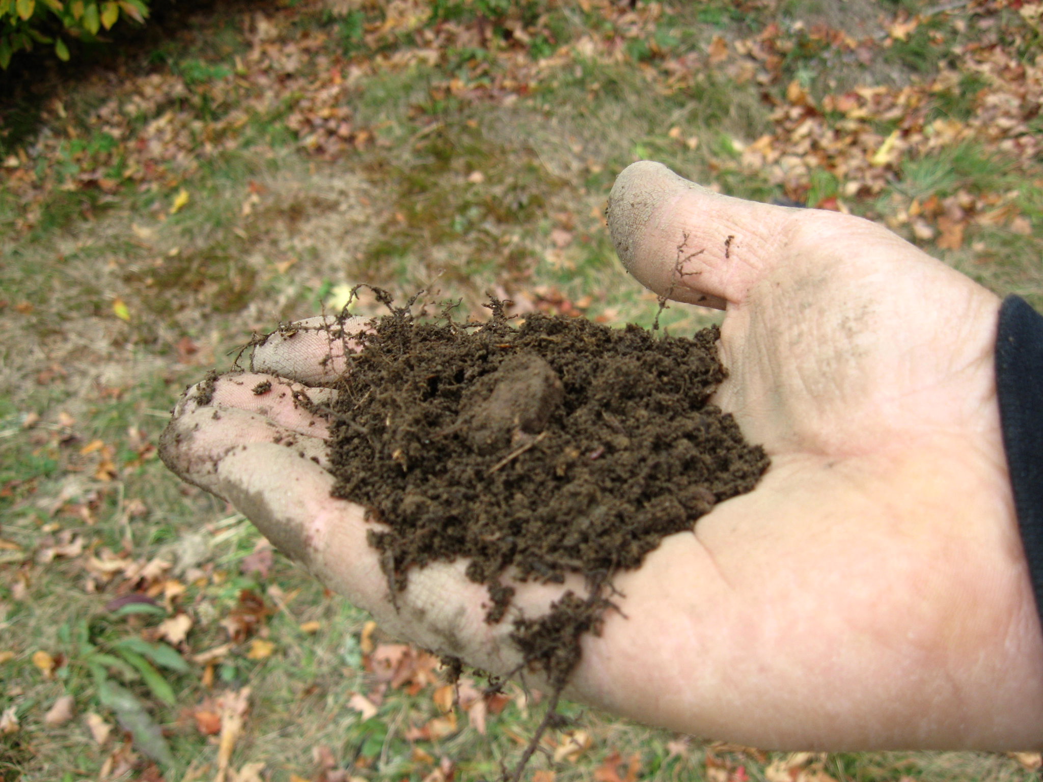 Media.Category.ImageAlternateTextFormat